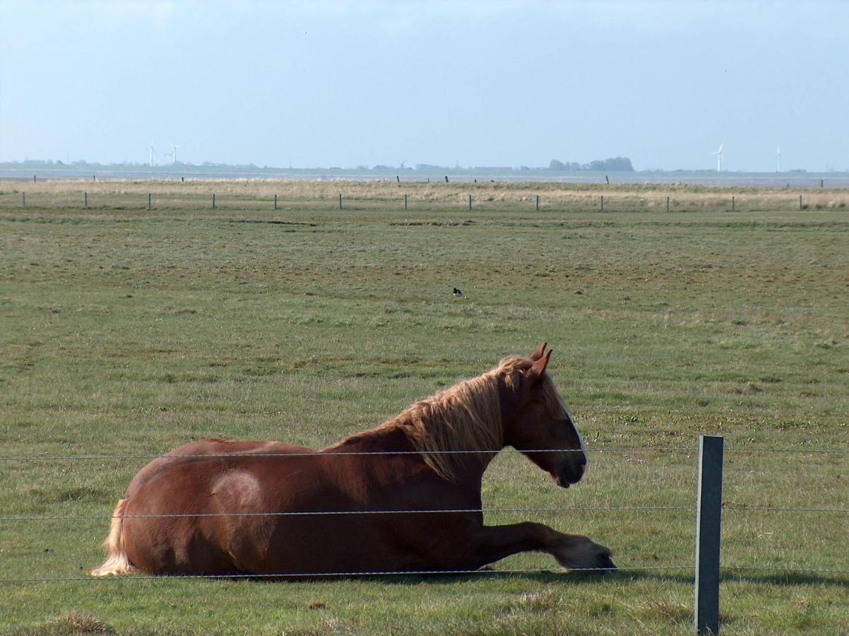 Seevilla Wietjes Whg 3 Baltrum Kültér fotó