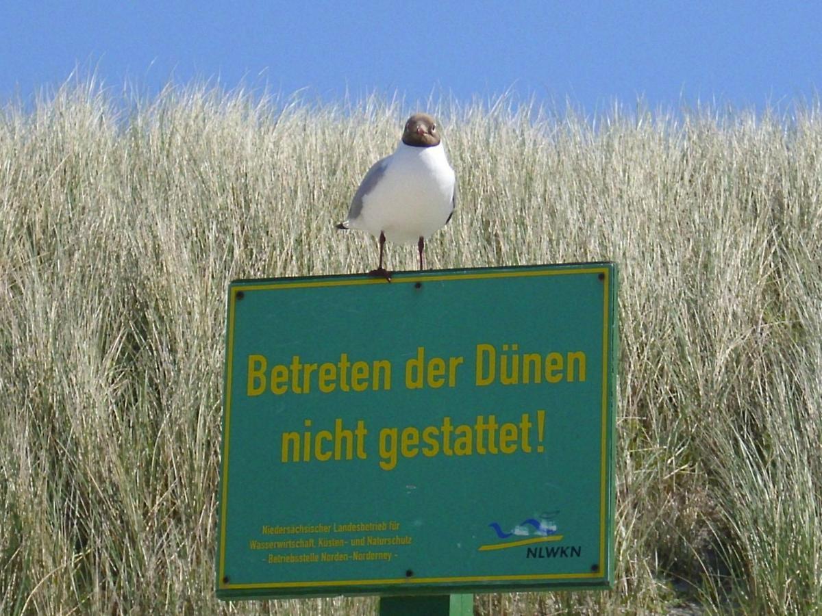 Seevilla Wietjes Whg 3 Baltrum Kültér fotó